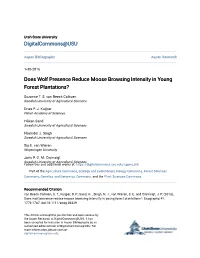 Does Wolf Presence Reduce Moose Browsing Intensity in Young Forest Plantations?