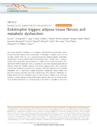 Endotrophin Triggers Adipose Tissue Fibrosis and Metabolic Dysfunction