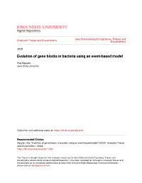 Evolution of Gene Blocks in Bacteria Using an Event-Based Model