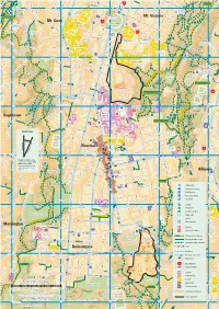 Newtown and Berhampore Walking Map (PDF)