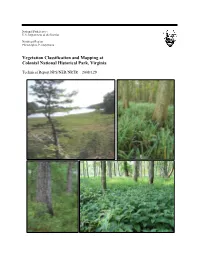 Vegetation Classification and Mapping Project Report