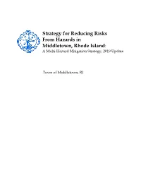 2019 Update Strategy for Reducing Risks From