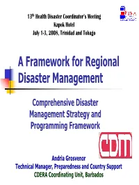 CDM Framework 2006