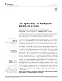 Leaf Epidermis: the Ambiguous Symplastic Domain