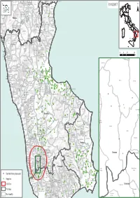 Sources: Esri, USGS, NOAA Sentinel Honey Bee Nuclei Negative 10000