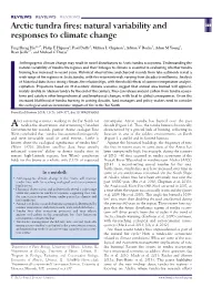 Arctic Tundra Fires: Natural Variability and Responses to Climate Change