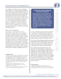 Chapter 3. Peer Support Fundamentals