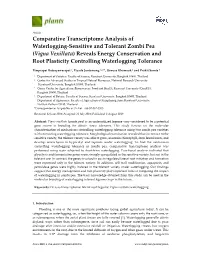 Comparative Transcriptome Analysis of Waterlogging-Sensitive