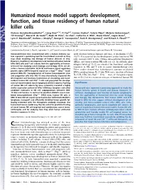 Humanized Mouse Model Supports Development, Function, and Tissue Residency of Human Natural Killer Cells