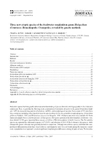 Zootaxa,Three New Cryptic Species Of