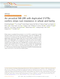 An Ancestral NB-LRR with Duplicated 3Â€²Utrs Confers Stripe Rust