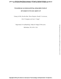 Dynorphinergic Mechanism Mediating Endomorphin-2-Induced Anti