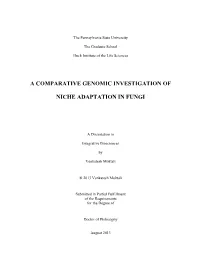 A Comparative Genomic Investigation of Niche Adaptation in Fungi”