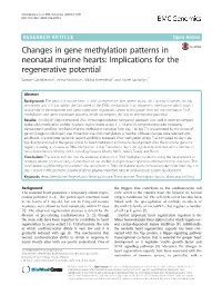 Changes in Gene Methylation Patterns in Neonatal Murine Hearts