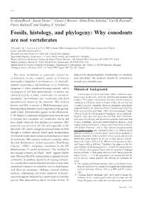 Fossils, Histology, and Phylogeny: Why Conodonts Are Not Vertebrates