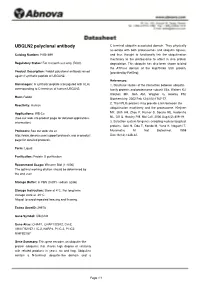 UBQLN2 Polyclonal Antibody C-Terminal Ubiquitin-Associated Domain