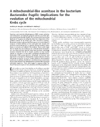 A Mitochondrial-Like Aconitase in the Bacterium Bacteroides Fragilis: Implications for the Evolution of the Mitochondrial Krebs Cycle