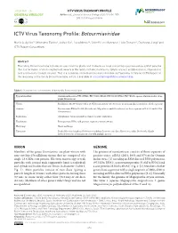 ICTV Virus Taxonomy Profile: Botourmiaviridae