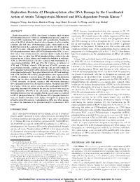 Replication Protein A2 Phosphorylation After DNA Damage by the Coordinated Action of Ataxia Telangiectasia-Mutated and DNA-Dependent Protein Kinase 1