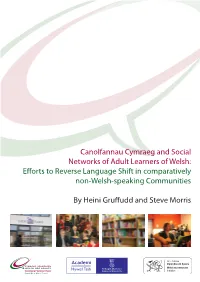 Canolfannau Cymraeg and Social Networks of Adult Learners of Welsh: Efforts to Reverse Language Shift in Comparatively Non-Welsh-Speaking Communities