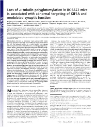 Tubulin Polyglutamylation in ROSA22 Mice Is Associated with Abnormal Targeting of KIF1A and Modulated Synaptic Function