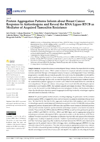 Protein Aggregation Patterns Inform About Breast Cancer Response to Antiestrogens and Reveal the RNA Ligase RTCB As Mediator of Acquired Tamoxifen Resistance