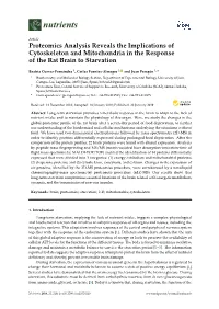 Proteomics Analysis Reveals the Implications of Cytoskeleton and Mitochondria in the Response of the Rat Brain to Starvation