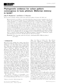 Phylogenetic Evidence for Colour Pattern Convergence in Toxic Pitohuis