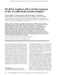 PX-RICS Mediates ER-To-Golgi Transport of the N-Cadherin/␤-Catenin Complex
