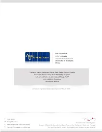 Redalyc.Evaluation of Consistency of the Knowledge in Agents