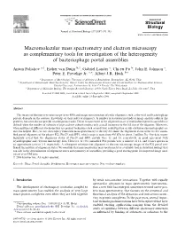Macromolecular Mass Spectrometry and Electron Microscopy As Complementary Tools for Investigation of the Heterogeneity of Bacteriophage Portal Assemblies