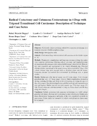 Radical Cystectomy and Cutaneous Ureterostomy in 4 Dogs with Trigonal Transitional Cell Carcinoma: Description of Technique and Case Series