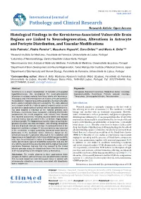 Histological Findings in the Kernicterus-Associated Vulnerable