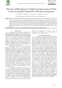 Structure of Micromycete Complex in Agrocenosis of Field Crops on Leached Chernozem of Western Ciscaucasia