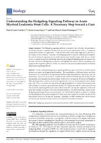 Understanding the Hedgehog Signaling Pathway in Acute Myeloid Leukemia Stem Cells: a Necessary Step Toward a Cure