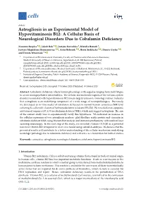 Astrogliosis in an Experimental Model of Hypovitaminosis B12: a Cellular Basis of Neurological Disorders Due to Cobalamin Deﬁciency