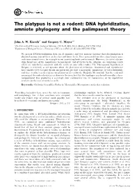 The Platypus Is Not a Rodent: DNA Hybridization, Amniote Phylogeny and the Palimpsest Theory