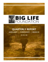 2020 Q1 Activity in Kenya Is Summarized Below (Tanzania on Pages 8-9)
