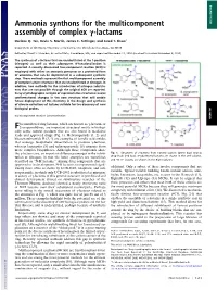 Ammonia Synthons for the Multicomponent Assembly of Complex Γ-Lactams