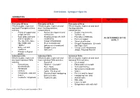 Curriculum - Gymsport Specific