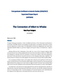 The Connection of Māori to Whales