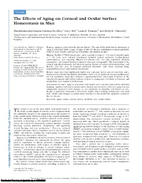 The Effects of Aging on Corneal and Ocular Surface Homeostasis in Mice