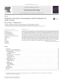 Epigenetic Mechanisms of Neuroplasticity and the Implications for Stroke Recovery