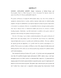 Genetic Architecture of Hybrid Fitness and Wood Quality Traits in a Wide Interspecific Cross of Eucalyptus Tree Species