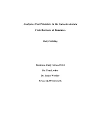 Analysis of Soil Moisture in the Guinotia Dentata Crab Burrows Of