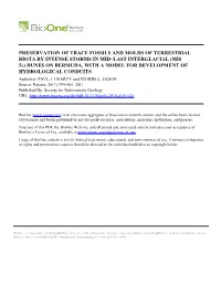 Preservation of Trace Fossils