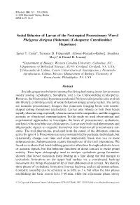 Social Behavior of Larvae of the Neotropical Processionary Weevil Phelypera Distigma (Boheman) (Coleoptera: Curculionidae: Hyperinae)