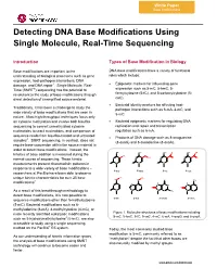 Detecting DNA Base Modifications Using SMRT Sequencing