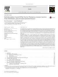 Epithelial Sodium Channel (Enac) Family: Phylogeny, Structure–Function, Tissue Distribution, and Associated Inherited Diseases