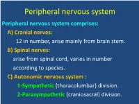 Peripheral Nervous System Peripheral Nervous System Comprises: A) Cranial Nerves: 12 in Number, Arise Mainly from Brain Stem